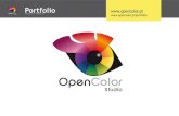 portfolio opencolor studio · „Przebudzenie” - projekt artystyczny realizowany cyklicznie od 2008 do 2012 r., do˛nansowywany przez Ministerstwo ... Prezentacja sylwetki propagatorki