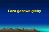 Faza gazowa gleby - pracownik.kul.pl · • Rocznie 1 ha gleby pobiera więc do kilkunastu ton O 2 i wydziela podobną ilość CO 2 . WYMIANA GAZOWA W GLEBIE Wymiana obejmuje: ...