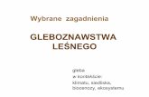GLEBOZNAWSTWA LEŚNEGO - up.poznan.pl Modrzyński/1... · 1. Pogarsza bilans wodny gleby. Sama wchłania opady, nasyca swoje kapilary i powoduje spływ powierzchniowy. 2. Wzmaga procesy