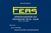 WPROWADZENIE DO PROGRAMU FEAS - KAM · Szczegółowy algorytm rozwiązania zadania ramy płaskiej programem FEAS - KAM I. Przyjęcie układów współrzędnych: globalnego i lokalnego
