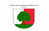 Budżet gminy Dąbrowa Białostockadabrowa-bial.pl/budzet-prezentacja.pdf · pieniądze do budżetu. Planowany dochód z najmu, opłat za wieczyste użytkowanie i dzierżawę nieruchomości