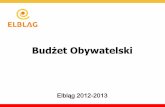 Budżet Obywatelski - prezydent.pl · co zostanie wydana część pieniędzy z budżetu miasta. Była to pierwsza tego typu inicjatywa w historii Elbląga. Dzięki wprowadzeniu budżetu