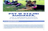 Psy w stajni augiasza, - kwartalnik.csp.edu.plkwartalnik.csp.edu.pl/download/21/24944/... · Trening koncentracji uwagi psa. Fot. A. Wentkowska. typy psów ratowniczych 31 Sposób