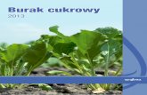 20121130 Syngenta Burak Pelny A4 - agrocentrum.net · zawsze podwójna zdrowotność Ze środków ochrony roślin należy korzystać z zachowaniem bezpieczeństwa. Przed każdym użyciem