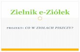 Zielnik e-Ziółek - e-Szkoła Wielkopolskaeszkola-wielkopolska.pl/eszkola/projekty/gimnazjum-rozdrazew/co_w... · są uprawiane jako rośliny ozdobne, w tym arnika górska. ... Ma