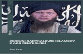 Zbrojni radykałowie islamscy z Azji Centralnej - osw.waw.pl · narodowych organizacji terrorystycznych prowadzących działania na ska-lę globalną wraz z innymi islamskimi organizacjami