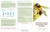 Badania wykonuje: MOLEKULARNA DIAGNOSTYKA ALERGII · 2016-11-03 · MOLEKULARNA DIAGNOSTYKA ALERGII Celna identyfikacja przyczyn alergii testy firmy EUROIMMUN: 50-543 Wrocław, ul.