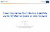 Ekonomiczno-techniczne aspekty wykorzystania gazu w energetyce · 2009-11-19 · mieszaniny o sk ładzie objętoś ... Cena jednostkowa (PLN/GJ, PLN/m n 3), zużycie gazu (np. m n