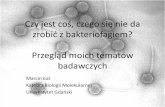zy jest coś, czego się nie da zrobid z bakteriofagiem? Przegląd …ichf.edu.pl/r_act/act_pl/fund_strukt/KSP/ML1.pdf · 2009-03-26 · Czym jest bakteriofag? hu.cnsi.ucsb.edu. Fagi