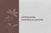 RÓŻNICOWA EKSPRESJA GENÓW - cs.put.poznan.pl · zakłada że geny nie uległy zróżnicowanej ekspresji Zbiór A – gen nie uległ zróżnicowanej ekspresji po chemii Zbiór B