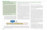 Prace poglądowe Genetic basis of cystinuria in dogs ... 2011_07 02.pdf · Defekt w przenoszeniu ami-nokwasów wynika z mutacji występują-cych w genach kodujących białka, co pro-wadzi