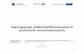 Agregacja zidentyfikowanych potrzeb rozwojowych - wspa.pl · Analiza sprawozdań finansowych – warsztat praktyczny w MS Excel 1 . 12 Obsługa programu Rewizor GT firmy Insert 1