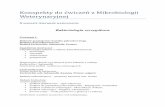 Konspekty do ćwiczeń z Mikrobiologii Weterynaryjnej · 3. Kryteria podziału i podziały bakterii z rodzaju Clostridium a. bakterie nieinwazyjne Clostridium botulinum Clostridium