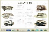 ptaki-life.plptaki-life.pl/pdf/2015kalendarz.pdfCreated Date: 12/2/2014 1:03:58 PM