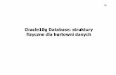 Oracle10g Database: struktury fizyczne dla hurtowni danych · 3 Store No. 3 Atlanta East 4 Store No. 4 Los Angeles West 5 Store No. 5 San Francisco West. 90 Wymiary z wieloma hierarchiami