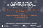 Prezentacja programu PowerPoint - inkubatorwielkichjutra.plinkubatorwielkichjutra.pl/wp-content/uploads/2019/... · INKUBATOR INNOWACJI SPOŁEZNYH WIELKIH JUTRA : Usługi opiekuocze