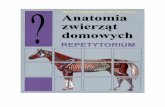 repetytorium - agroswiat.pl · Spis trešci Przedmowa Wykaz skrótów Czešé I 17 18 Anatomia ssaków domowych Nauka o košciach, osteologia Košciec, skeleton (sceleton) Košci,