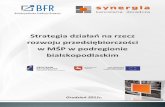 Strategia działań na rzecz rozwoju przedsiębiorczości w ...bfr-bialapodlaska.pl/userfiles/Strategia_MSP.pdf · SWOT/TOWS (w układzie ST, SO, WT, WO). Nie zdefiniowano też celów