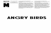 Angry Birds - artmuseum.plBIRDS_BOOKLET_web-2.pdf · characterize the concept of Binder’s art as a “children’s playground, where rules are created as the game progresses.”