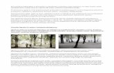 Filozofia Ogrodu 21 wieku / edukacja ekologicznasarp.warszawa.pl/.../wp-content/uploads/2013/11/Praca_001_162894_OPIS.pdf · Platanus acerifolia/ platan klonolistny Catalpa ovata