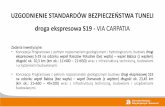 UZGODNIENIE STANDARDÓW BEZPIECZEŃSTWA TUNELIkongresdrogowy.pl/files/upload/06WRO2019_GDDKiA_RZE.pdf · 2019-01-25 · UZGODNIENIE STANDARDÓW BEZPIECZEŃSTWA TUNELI droga ekspresowa