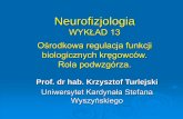 Neurofizjologia - wbns.uksw.edu.pl · Przedni płat przysadki Przedni płatprzysadki mózgowej i produkuje hormony tropowe (gonadotropowe, tyreotropowe i kortykotropowe) oddziałujące