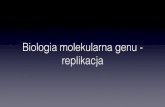 Biologia molekularna genu - replikacja · Dwie klasy polimeraz • O dużej wierności – mało błędów, ale wrażliwe na uszkodzenia w matrycy • zatrzymują się w miejscu uszkodzenia