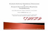 Rawa Mazowiecka 2017 Przedsi ębiorstwo Zabezpiecze ń ...pkeopk.sep.com.pl/ossa2017/corrstop.pdf · Wg NACE SP0169 -2013: „Control of External Corrosion on Underground or Submerged