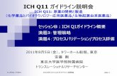 ICH Q11 ガイドライン説明会 - JPMA · 2013-07-01 · 原料は、原薬に不純物をもたらす可能性が大きい。そのため、製 造業者はそのような原料の品質を、上流で使用する類似した原料