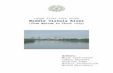 Ogólna charakterystyka morfologii koryta Wisłylevis.sggw.pl/.../Vistula_Large_River_case_study.docx · Web viewIt should be emphasized that erosion of the riverbed did not result