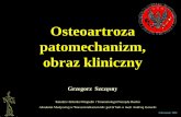 Osteoartroza patomechanizm, obraz klinicznyortopedialindleya.wum.edu.pl/system/files/choroba_zwyrodnieniowa_stawow... · Osteoartroza patomechanizm, obraz kliniczny Grzegorz Szczęsny