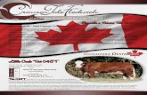 Little Creek Teri 048T - Crimson Tidecrimsontide.ca/pdf/2011/mar18/CrimsonTideenespanol.pdf · 2011-03-18 · Crimson Tide Fleckvieh, posee “genética no relacionada” en su pedigrí