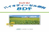 .o.C.I.f.B.[.[.. .1.4 (Page 2)4 滋賀県では、地域で栽培した菜の花から菜種油 を製造し、学校給食などに使用しています。その 廃食用油を回収し、石けんやBDFに加工して地域