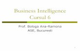 Business Intelligence Cursul 6sinf.ase.ro/cursuri/ia/Cursul 6 master 2019.pdfBazele de date orientate pe coloane In 1969 –TAXIR - destinat domeniului biologiei. In 1976, sistemul