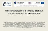 Zatoka Pomorska PLB990003 - Urząd Morski w Szczecinie · 2013-05-14 · Charakterystyka obszaru Obszar „Zatoka Pomorska” został zaklasyfikowany jako OSO Natura 2000 w listopadzie
