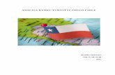 ANALIZA RYNKU TURYSTYCZNEGO CHILEwtir.awf.krakow.pl/pdf/studenci/strony_st/projekty/chile/...Park Narodowy Torres del Paine: masyw górski złożony z trzech skalnych wież o wysokości
