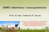 GMO obietnice i rzeczywistość...GMO obietnice i rzeczywistość Prof. dr hab. Tadeusz P. Żarski Wiara w to, że biotechnologia i kierujące się zyskiem korporacje przyczynią się