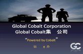 New Tigers Consulting Limited - Global Cobalt Corporation · 2018-08-21 · 前苏联的储量和资源类别系统于1960年启用，1981年修改，至今仍在俄罗斯和其他独联体共和国使用。该系统