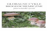 GLOBALNE CYKLE BIOGEOCHEMICZNEkfs.ftj.agh.edu.pl/~wachniew/GBC_6_pierwiastki_zycia.pdf · Rola CHONSP Poniższe monomery: oraz fosforany tworzą podstawowe typy polimerów niezbędne