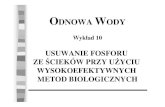 OW 10 NPwyswater.iopan.gda.pl/~pempa/OW10NPmetbiolwysokoefekt.pdf · 2005-12-30 · 7. Nitryfikacja Jest to utlenianie amoniaku do azotanów Podstawow rol odgrywaj tu bakterie z rodzaju