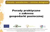 Porady praktyczne z zakresu gospodarki pasiecznejksow.pl/fileadmin/user_upload/ksow.pl/PROJEKTY... · pasieczny powinien być wykonany ze stali nierdzewnej. Nóż pasieczny służy