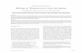 Biology of Trypanosoma cruzi: An update - SciELO Colombia · Inectio 2012 16(1): 45-58 45 Trypanosoma cruzi A e ARTÍCULO DE REVISION Biology of Trypanosoma cruzi: An update André