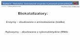 Biokatalizatory - Politechnika Gdańska · 2014-12-02 · Przedmiot: Podstawy Biotechnologii Politechnika GdaTECHNOńska, LOGIA CHEMICZNAInżynieria Biomedyczna Wykład 4 – Biokataliza.