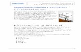 Autodesk Inventor Professional 9 チューブ＆パイプ …images.autodesk.com/apac_japan_main/files/AIP9_Pipe...2 Autodesk Inventor Professional 9 チューブ&パイプ パブリッシュとスタイルについて