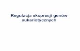 Regulacja ekspresji genów eukariotycznych · 2019-04-17 · Model działania SWI/SNF w inicjacji transkrypcji – gen IFN-β współdziałanie z acetylazami histonów 1.Do pozbawionego