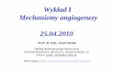 Wykład I Mechanizmy angiogenezy 25.04biotka.mol.uj.edu.pl/zbm/handouts/2010/wyklad_1_angiogeneza_25_04_2010.pdfcavities from „epithelium” Die Häute und Höhlen des Körpers.