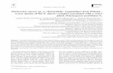 sp. n. (Tylenchida: Anguinidae) from Poland – a new ...russjnematology.com/subbotin/Reprint/Ditylenchus_laurae.pdfSummary – The genus ... mogeton malaianus Mig. growing submersed