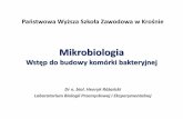 Mikrobiologia Wst¤â„¢p do budowy kom£³rki Mikrobiologia Wst¤â„¢p do budowy kom£³rki bakteryjnej Dr n. biol