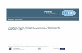 Raport końcowy Programu Operacyjnego Województwa Śląskiego …ec.europa.eu/regional_policy/sources/docgener/evaluation/... · 2015-03-09 · Wstępna ocena realizacji i efektów