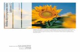 Obróbka zdjęć w programie Adobe Lightroom 3bartus7/downloads/Lightroom... · 2012-11-05 · Techniki multimedialne w promocji i informacji turystycznej: e T. Bartuś, Obróbka